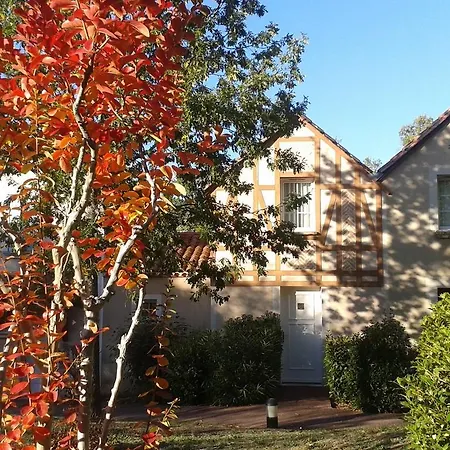 Mondesir Monflanquin